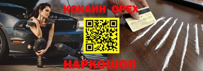гидра Будённовск