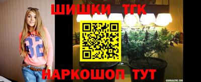 гидра Будённовск